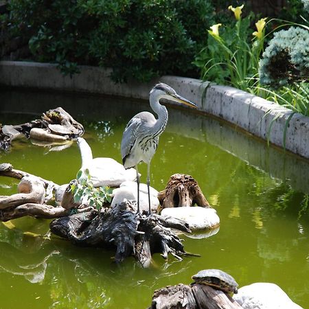 ホテル Al Giardino Fanna エクステリア 写真