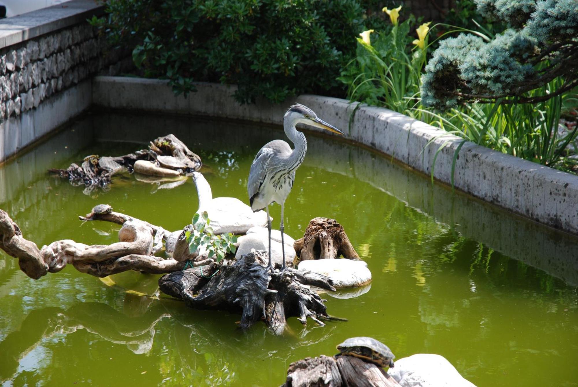 ホテル Al Giardino Fanna エクステリア 写真